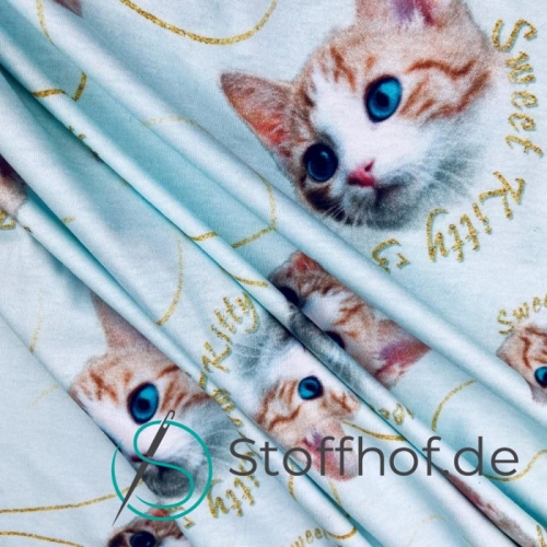 Baumwolljersey Süße Katzen / Hellmint