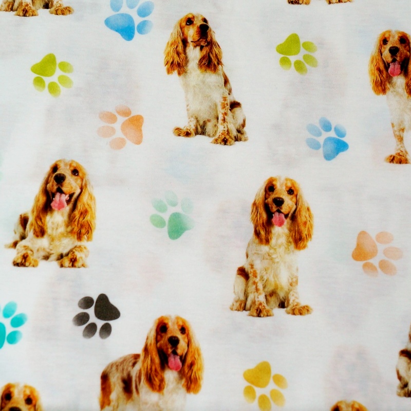 Stenzo Stoff Mit Chihuahua Jersey Stenzo Engel-und-Bengel